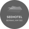 Logo Seehotel Hallwil
